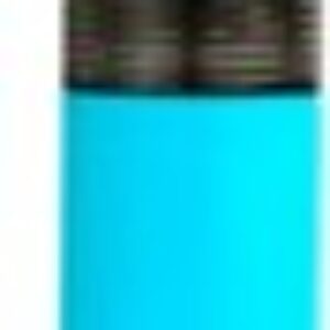 Ручка перьевая С конвертером + два картриджа / 196424 21век