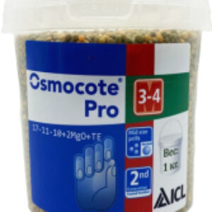 Удобрение Про 19-9-10+2MgO+TE 3-4М 21век