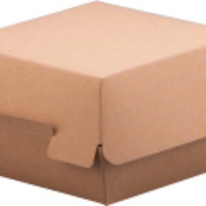 Набор одноразовых контейнеров гам1 21век