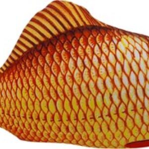 Мягкая игрушка Карп / 213.1.1 21век