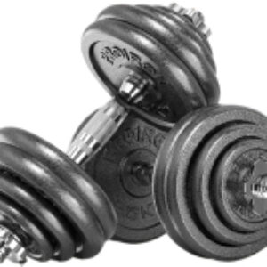 Набор гантелей разборных Г2150Ч 21век