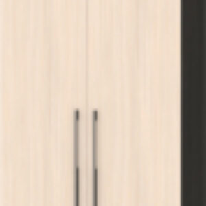 Шкаф Стоун С22 21век