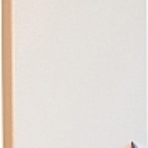 Шкаф-полупенал для ванной Камелия-23 Д2 21век