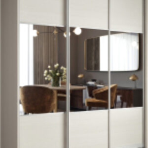 Шкаф-купе 233 ВS.01 / АЭП ШК.3 01 21век