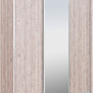 Шкаф-купе 233 SSX Elgon РГ-07.02 21век