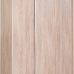 Шкаф-купе 233 TTX Elgon РГ-01.03 21век