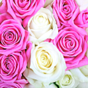 Фотообои листовые Букет роз 2 21век