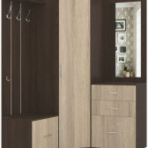 Секция в прихожую Визит-2 21век