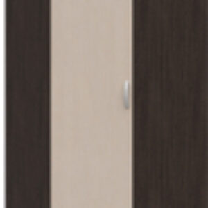 Шкаф Макарена ЛДСП ШК-303 21век