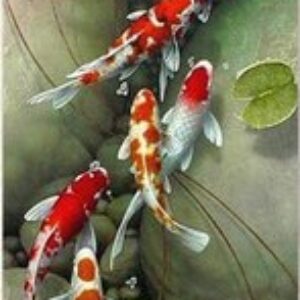 Картина по номерам Карпы кои  35x88 / HRP0029 21век