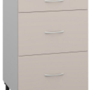 Шкаф-стол кухонный Корнелия Лира НШ50р3ш 21век