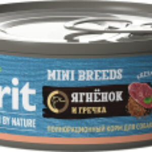 Влажный корм для собак для взрослых собак мелких пород с ягненком и гречкой / 5048977 21век