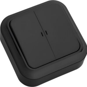 Выключатель Пралеска А5 10-215 21век