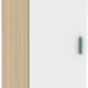 Шкаф-пенал Кот №5.1 21век