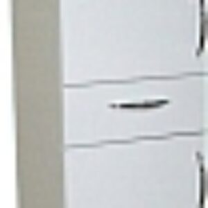 Шкаф-пенал для ванной Камелия-54 Д2 21век