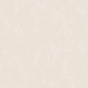 Бумажные обои Мира фон к-61 23ДТР 21век