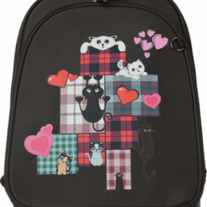 Школьный рюкзак 6223 / 23с839к45 21век