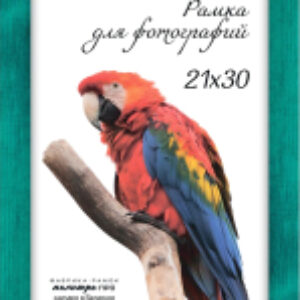 Рамка 630/1050B 21x30 21век