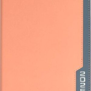 Ежедневник Илон Маск. Руффо / 66970 21век
