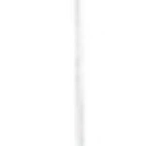 Потолочный светильник 776-106-01 21век