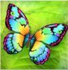 Набор алмазной вышивки Бабочка / 87138 21век
