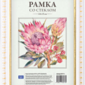 Рамка №9 / 247114 21век