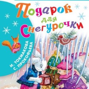 Книга Подарок для Снегурочки