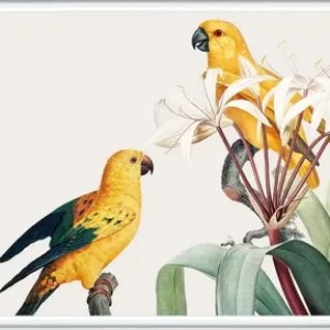 Постер Попугайчики 9 21век