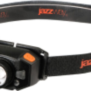 Фонарь AccuH1-L5WZ--og / 5036611 21век