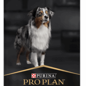 Сухой корм для собак Adult Medium Sensitive Skin с лососем и рисом 21век