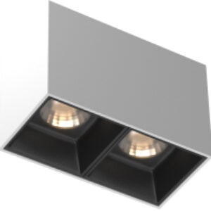 Потолочный светильник Alfa LED C065CL-02-L12W4K-W 21век