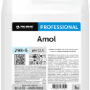 Чистящее средство для кухни Amol 21век