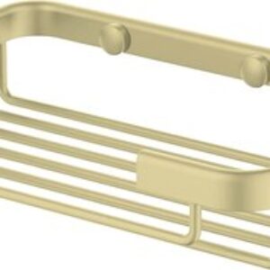 Мыльница AQ4946BG 21век