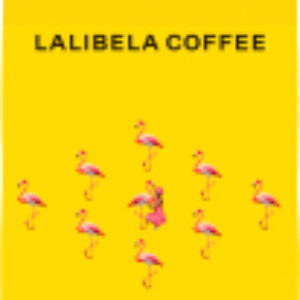 Кофе в зернах Arabica Tropic Aroma 21век