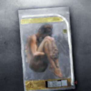 Книга Видоизмененный углерод. Сломленные ангелы 21век