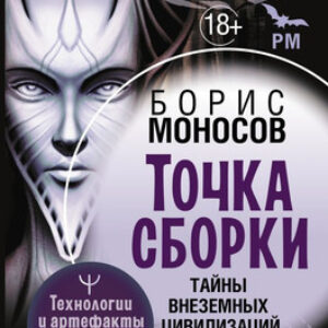 Книга Точка сборки. Тайны внеземных цивилизаций