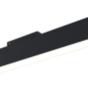 Трековый светильник Basis TR074-2-20W3K-B 21век