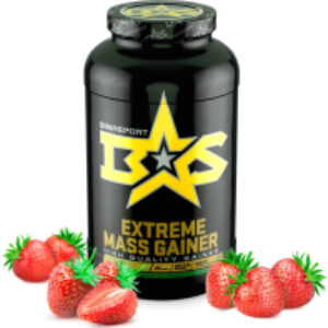 Гейнер Экстрим Масс 21век
