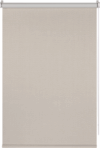 Рулонная штора Blackout Dublin 45x160 / 8318230 21век