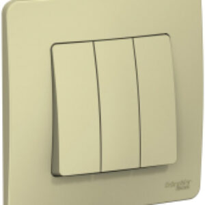 Выключатель Blanca BLNVS100507 21век