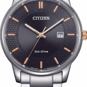 Часы наручные мужские BM6977-70E 21век