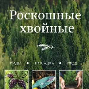 Книга Роскошные хвойные. Виды