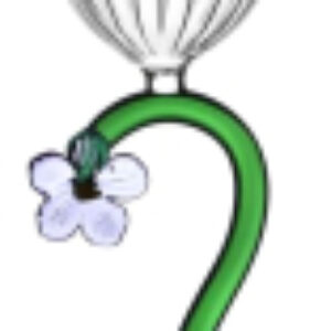 Бокал Botanica 09354010 21век