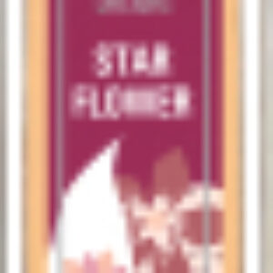 Туалетная вода Грезы. Звездный цветок 21век