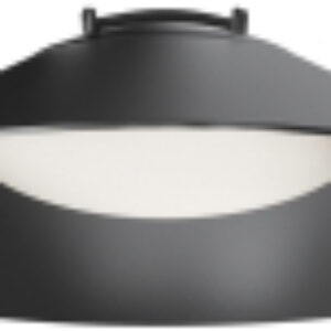 Потолочный светильник Campana TR127B-12W4K-B 21век