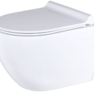 Унитаз подвесной Caneo Rimless TR2196DF 21век