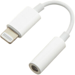 Адаптер CCA-LM3.5F-01-W 21век