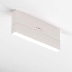Потолочный светильник Ceiling C133CL-12W4K-W 21век