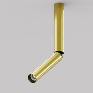 Потолочный светильник Ceiling C142CL-6W3K-BS 21век