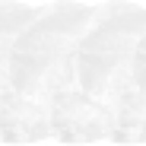 Набор крышек для хранения CL-02 / 003916 21век